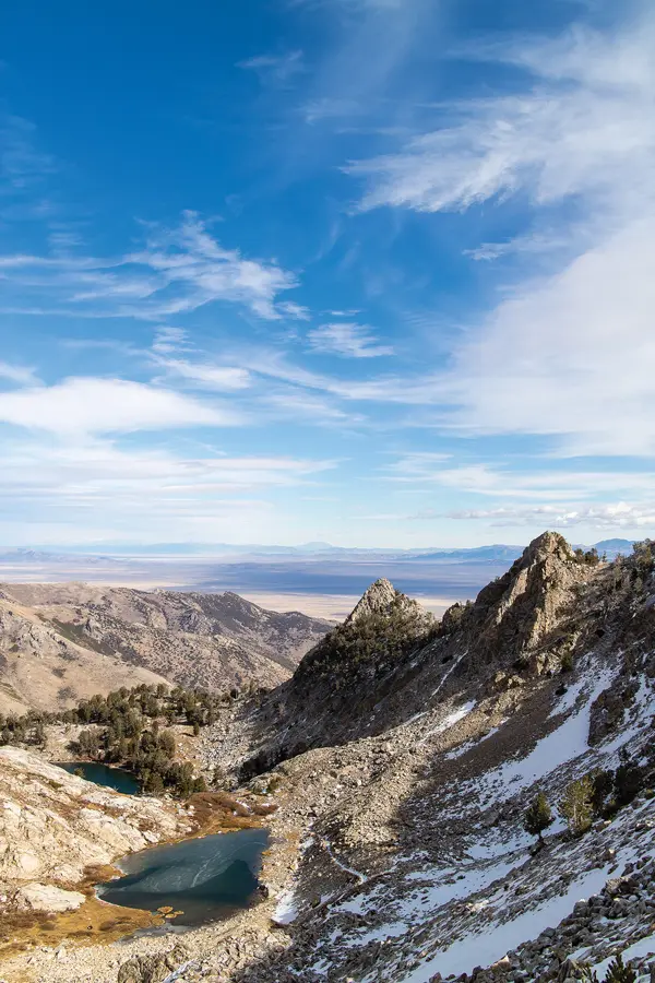 A Quest for Snowcock