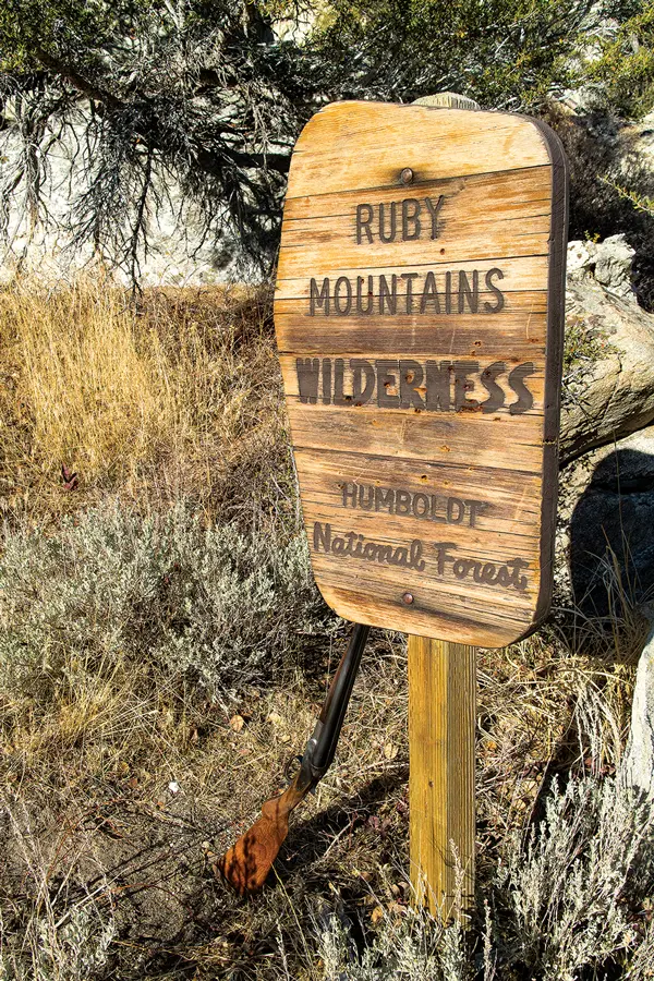 A Quest for Snowcock