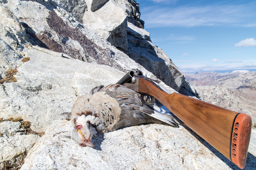 A Quest for Snowcock