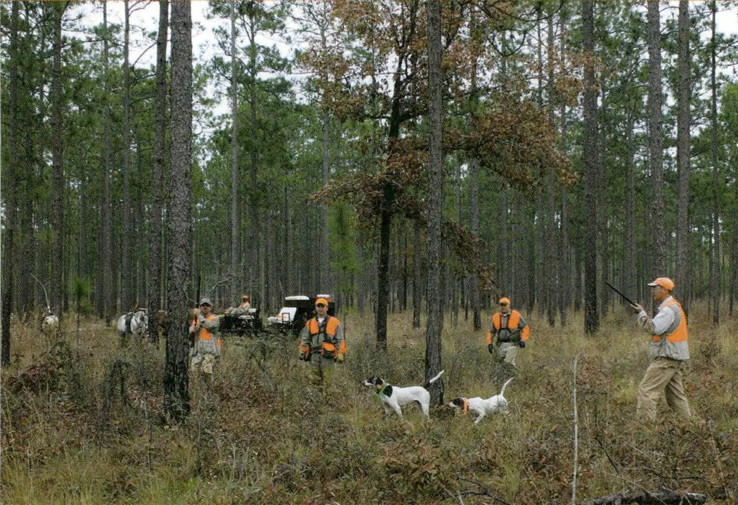 Pine Hill Plantation