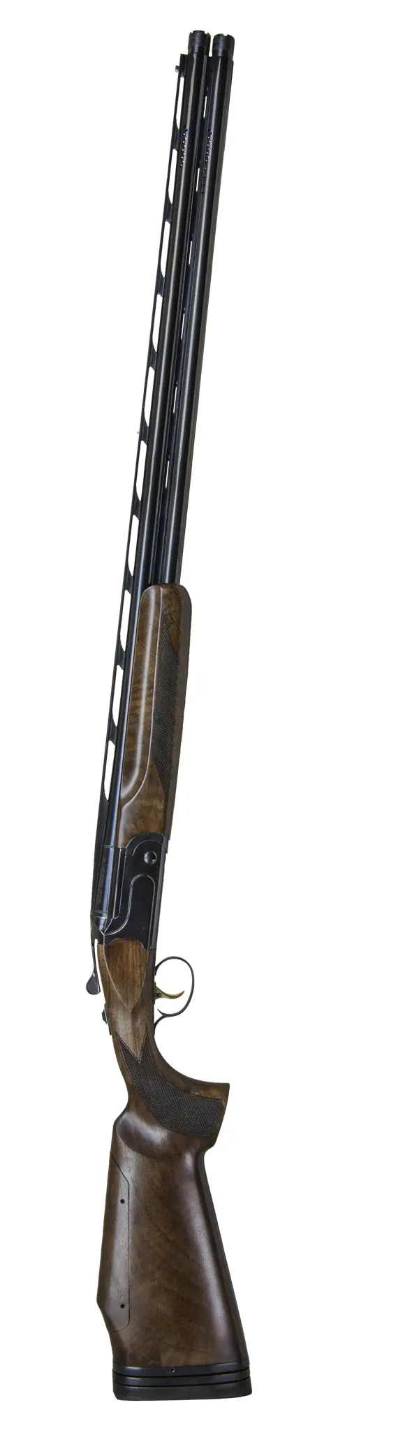 CZ All-American