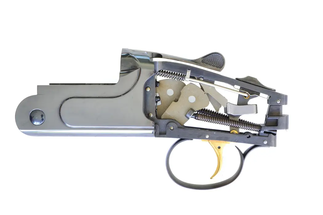 CZ All-American