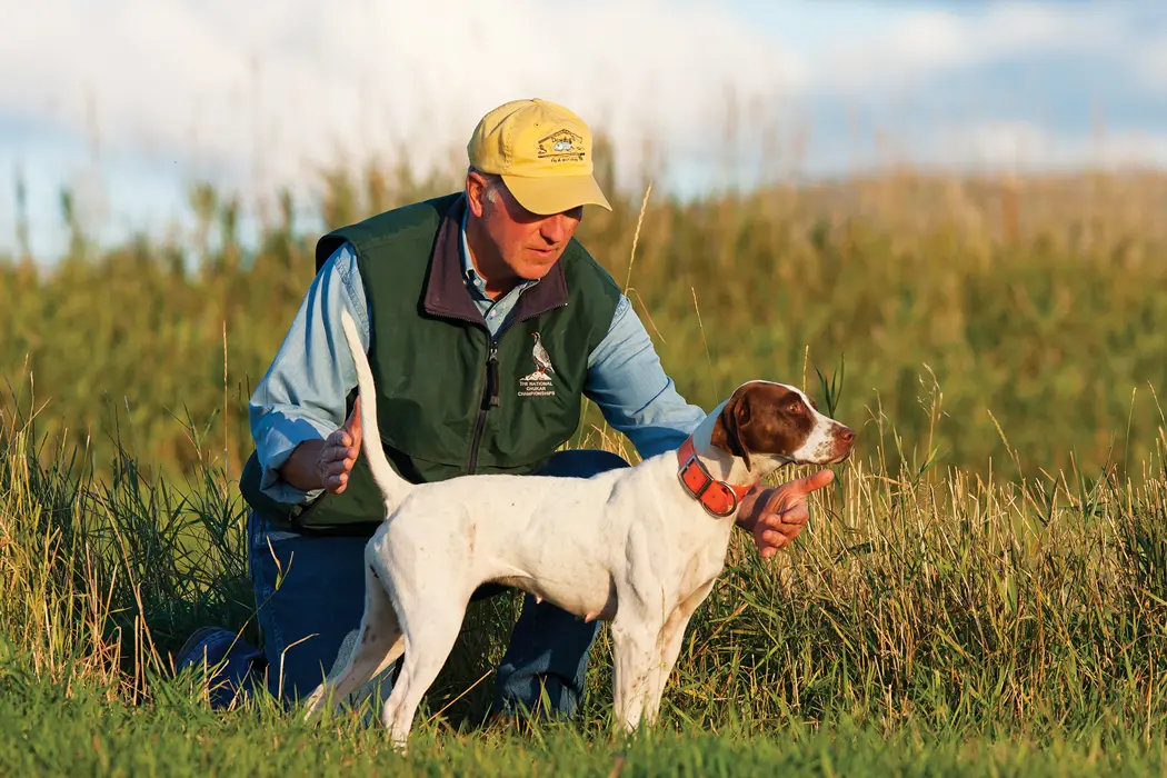 Hunting Dogs