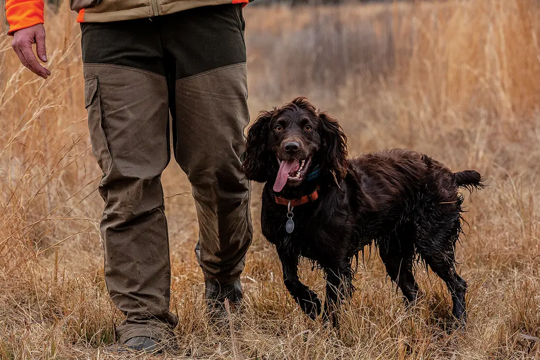 Bobs in the Black Belt