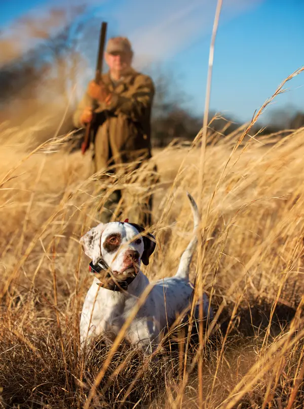 Bobs in the Black Belt