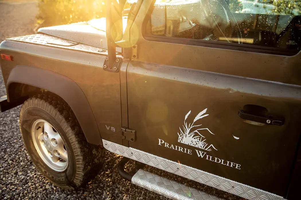 Bobs in the Black Belt