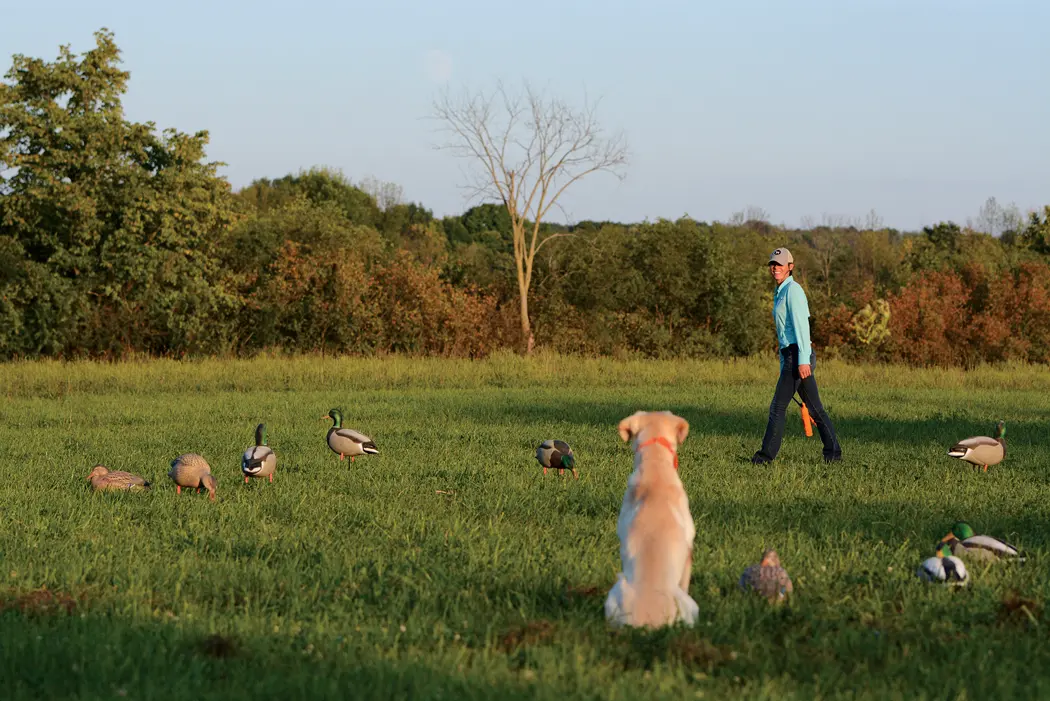 Rules for Steadiness