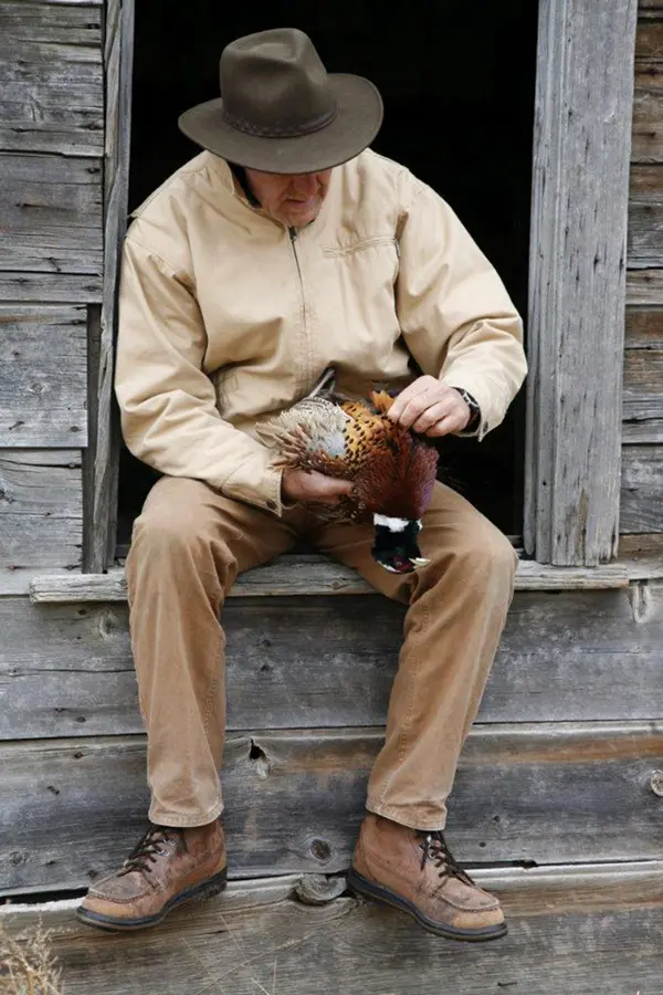 To Pluck or Not to Pluck