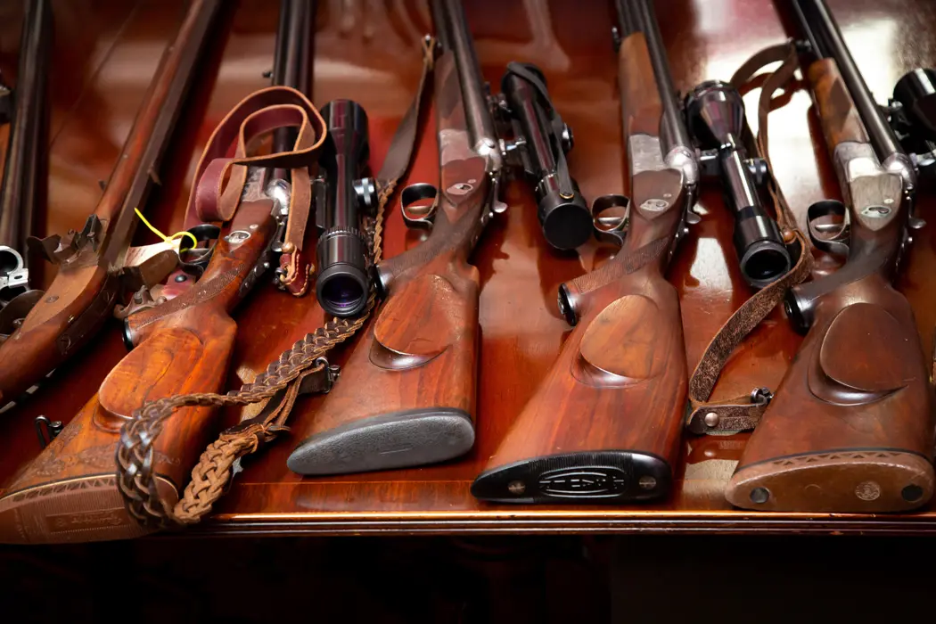 Rescuing German Guns