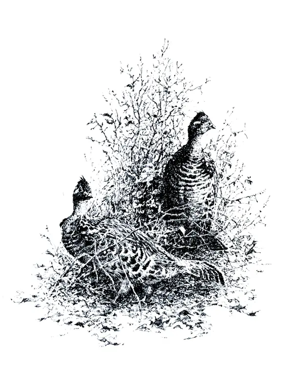 Commissioning a New Gun