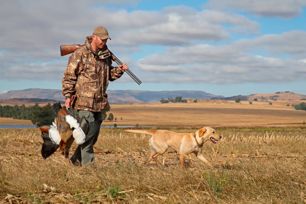 Wingshooting at Bird Hunters Africa