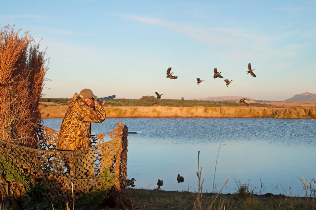 Wingshooting at Bird Hunters Africa