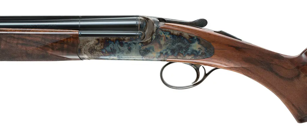 Bosis Releases the Wild 28