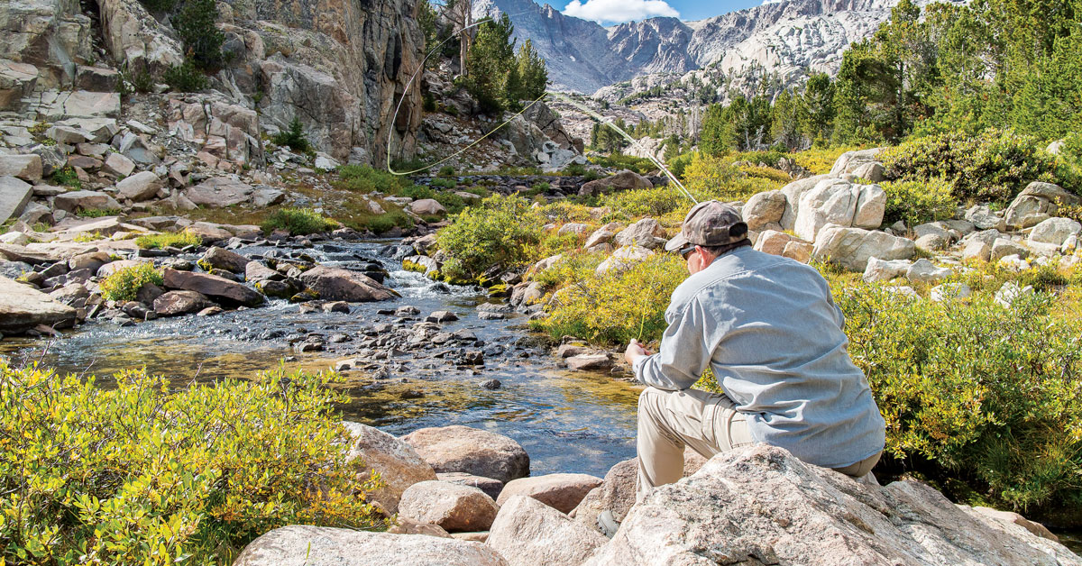 Western high-country streams often harbor brook, golden and/ or cutthroat trout, and the mountains around them may hold blue (below), ruffed and/or spruce grouse.