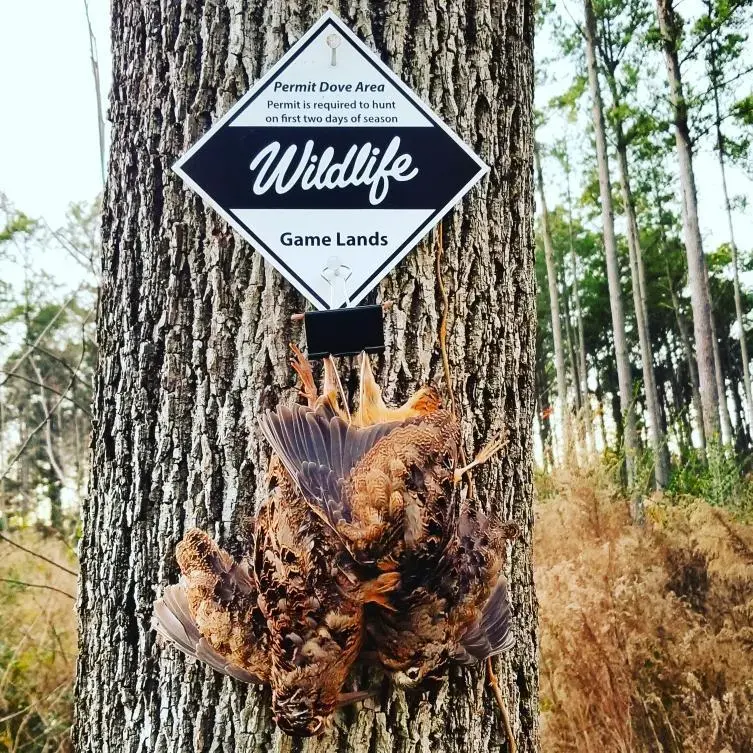 Eastern Shore Outfitters