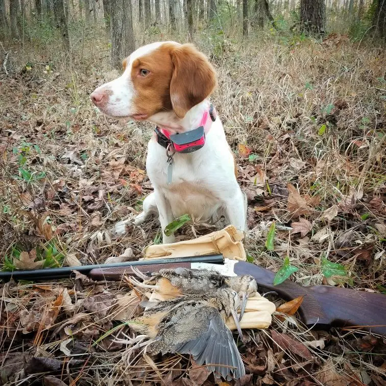 Eastern Shore Outfitters