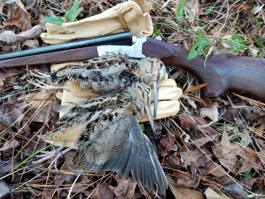 Eastern Shore Outfitters