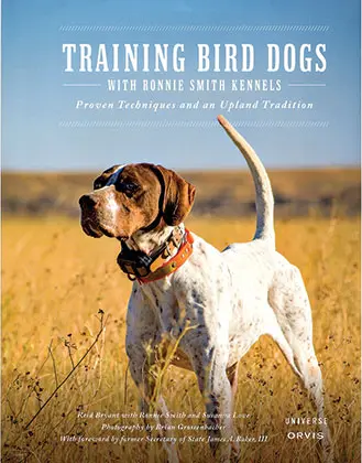 Training Bird Dogs with Ronnie Smith Kennels
