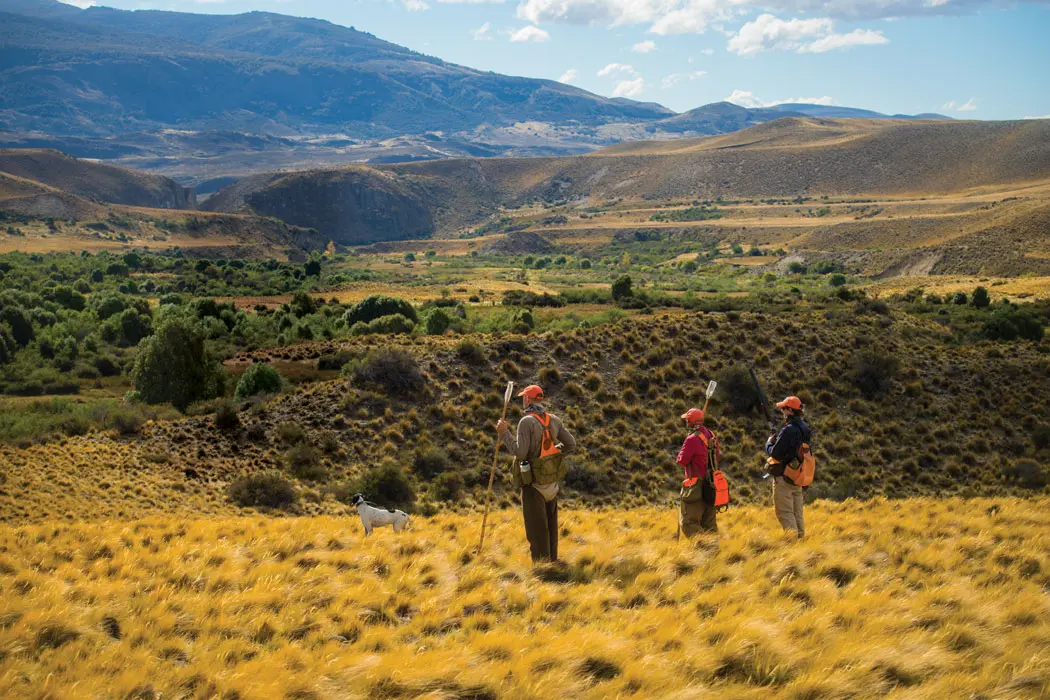 Patagonia