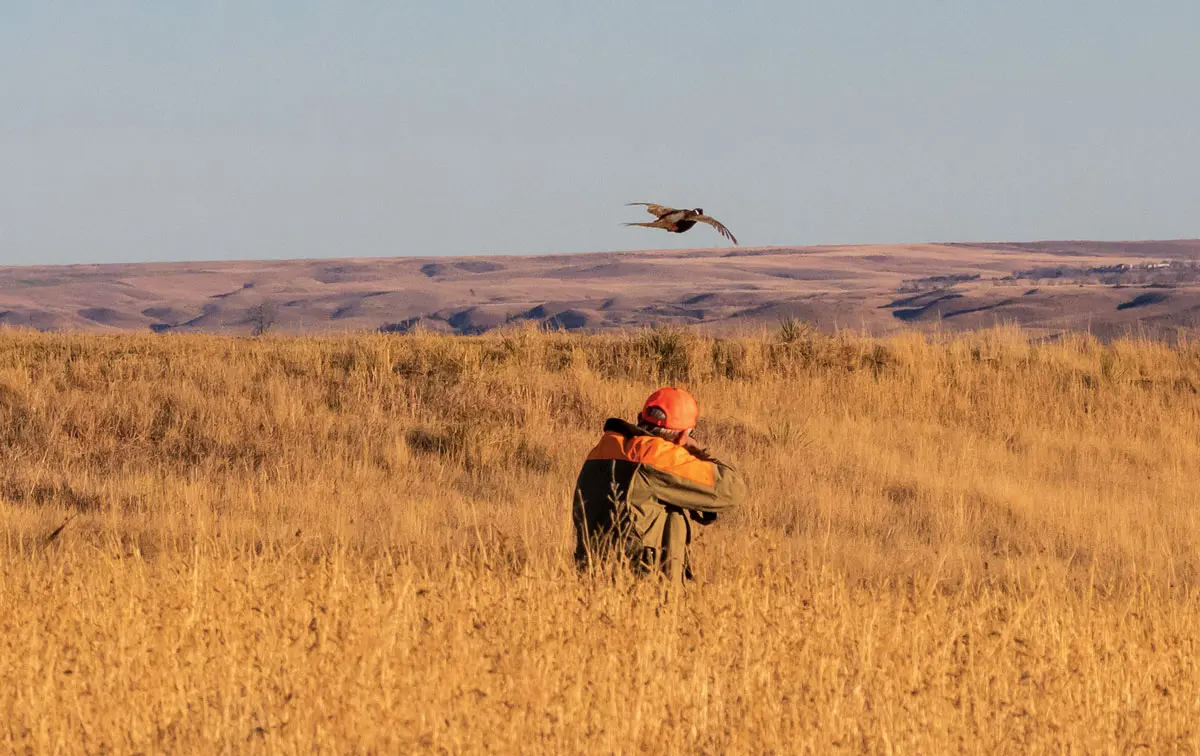 In order to prepare properly during the off-season, hunters should practice as much as possible on targets that simulate the birds they expect to encounter.