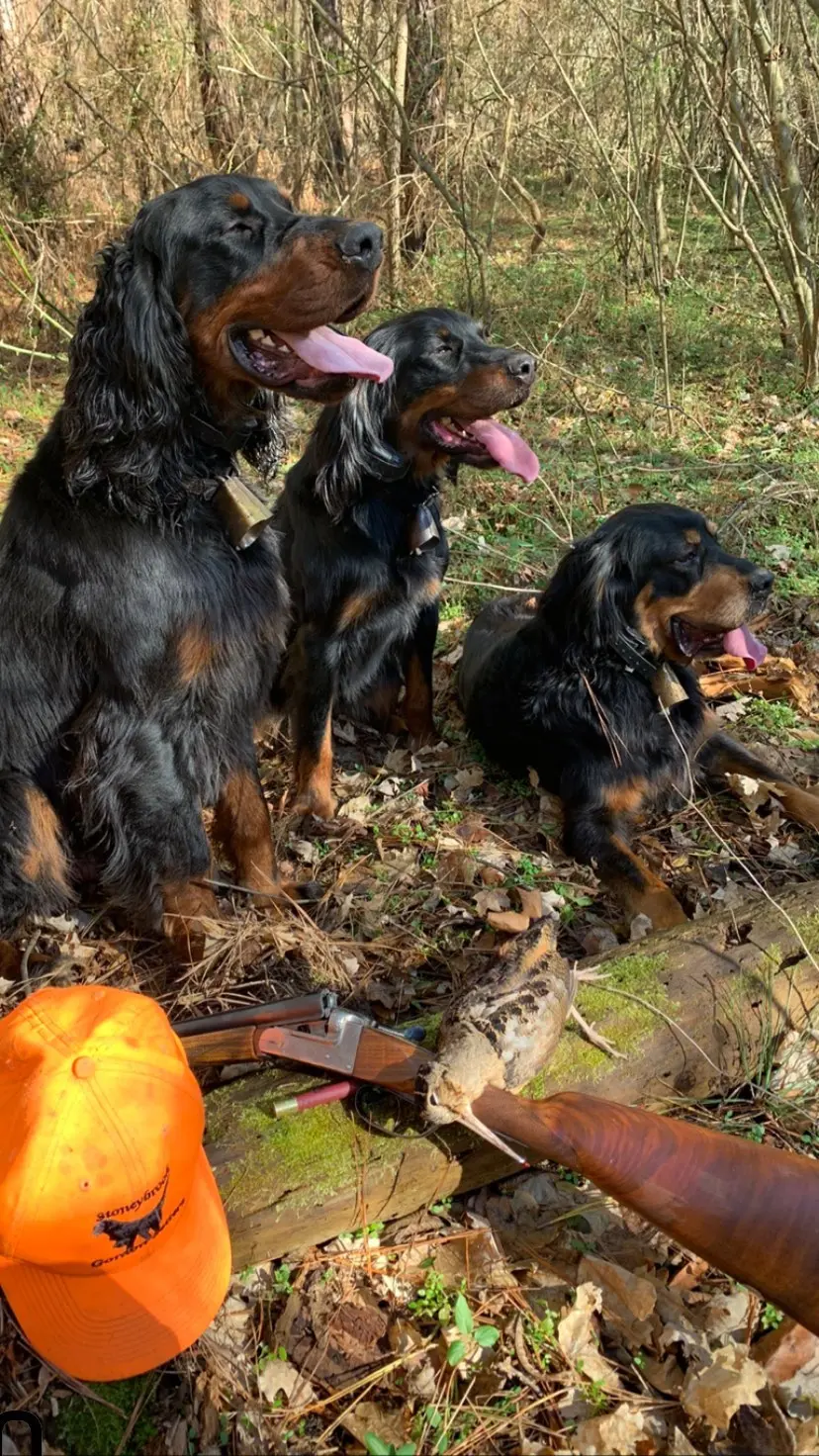 Mom Bec, her daughter Sasha, and European Import Arlo. One shell, one shot, perfect afternoon.