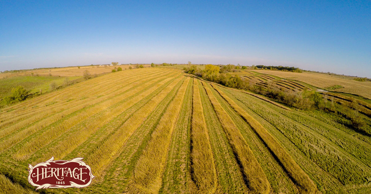 Heritage 1865, The Making of a Wingshooting Lodge Shooting Sportsman