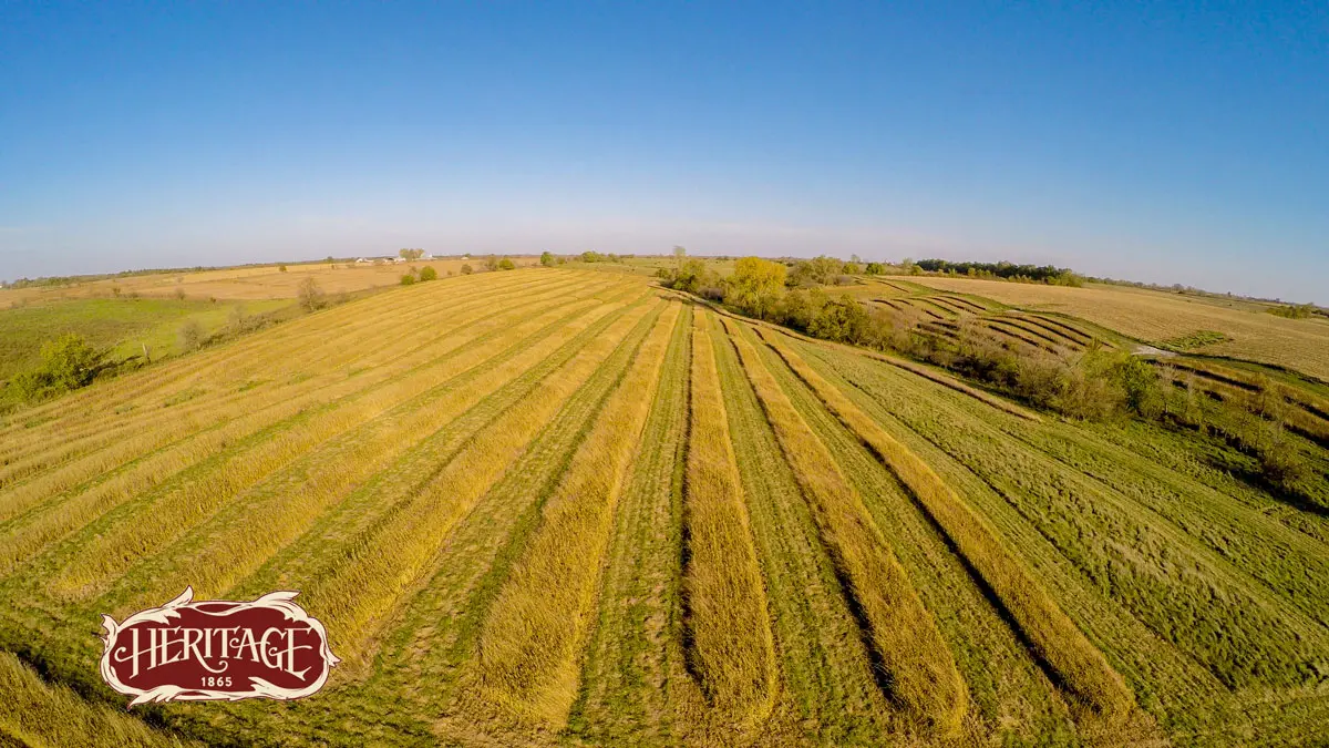 Heritage 1865, The Making of a Wingshooting Lodge