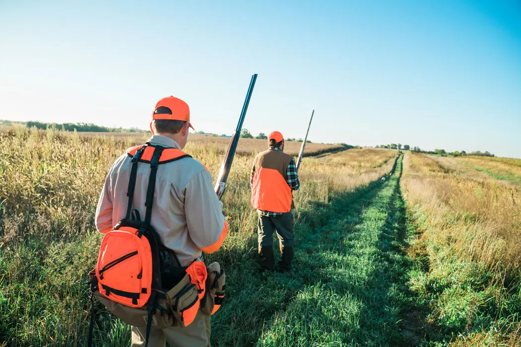 Heritage 1865, The Making of a Wingshooting Lodge