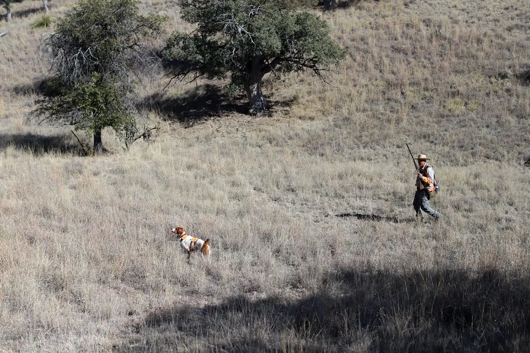 Classic Bird Hunts