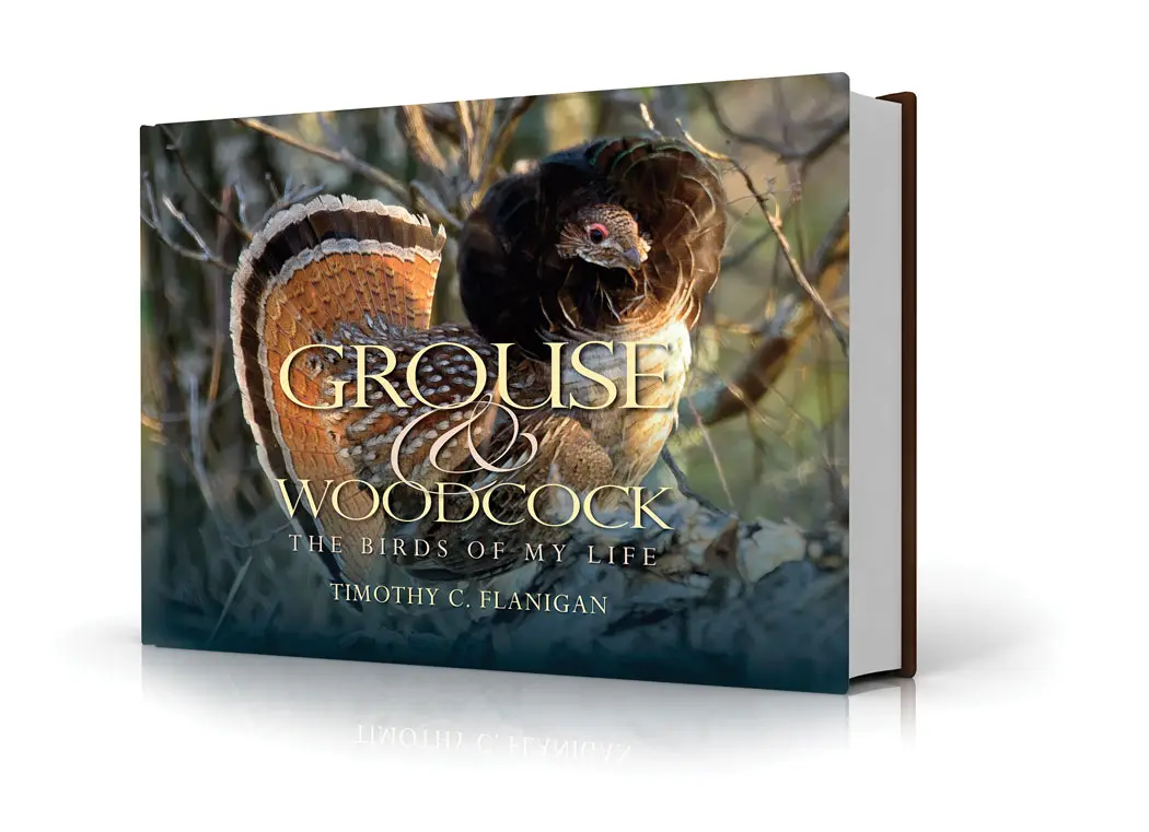 A Lifetime of Grouse & Woodcock
