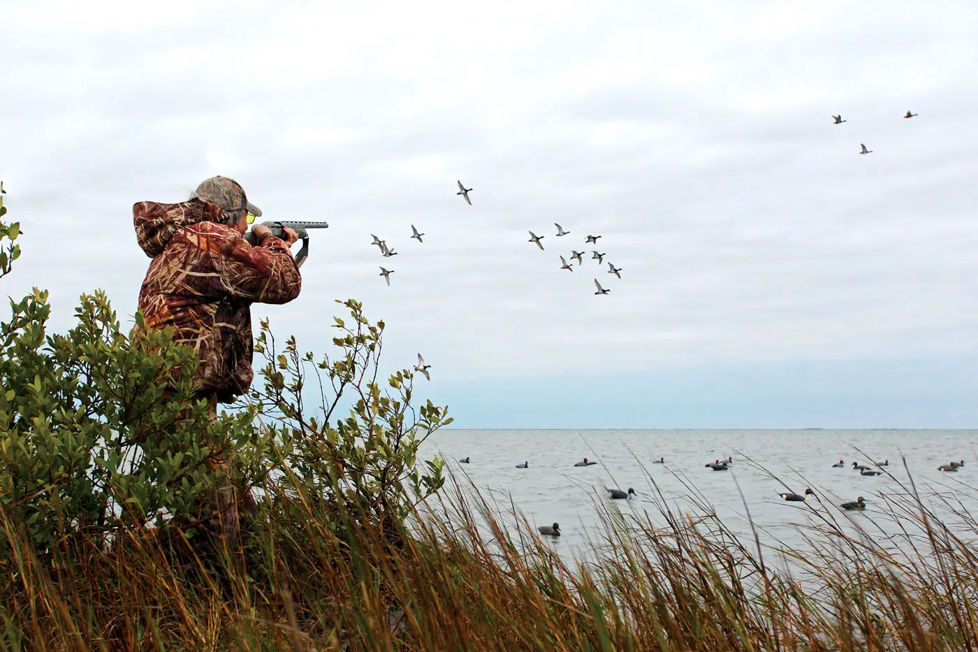 Hunting diving ducks