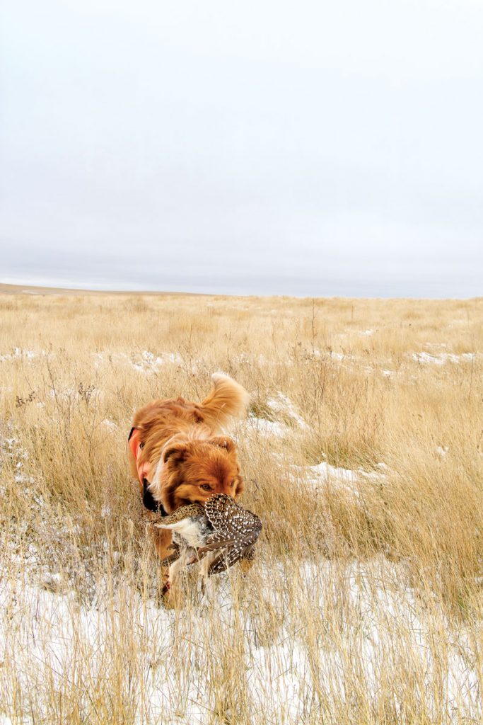 Rusty
