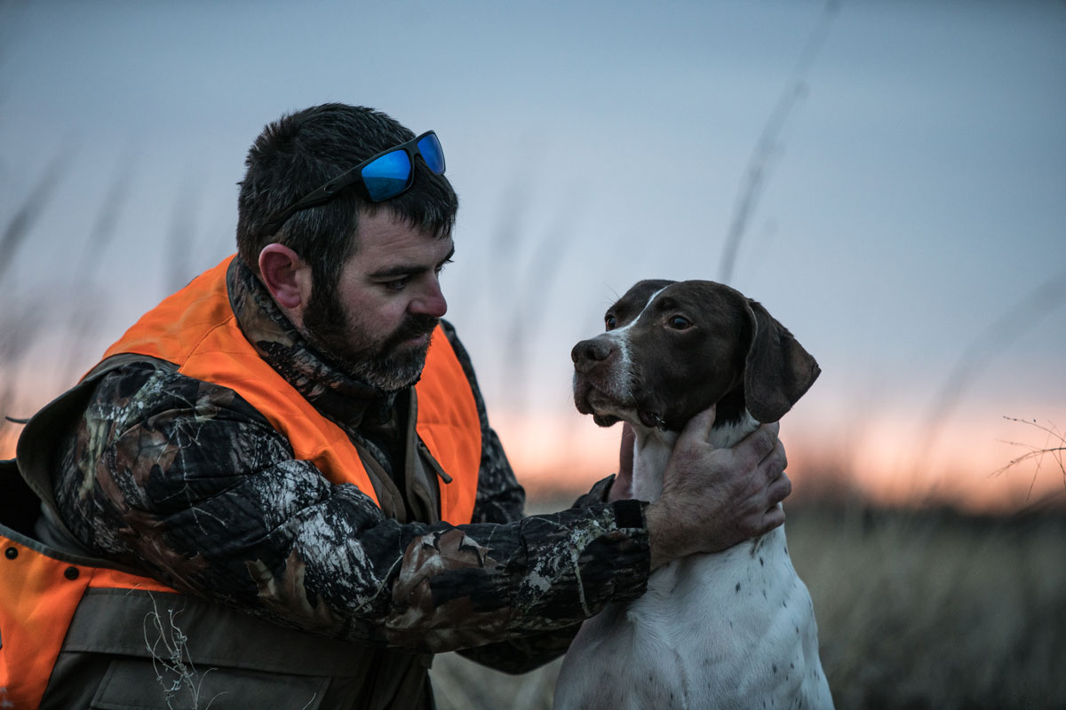 Eukanuba Sporting Dog