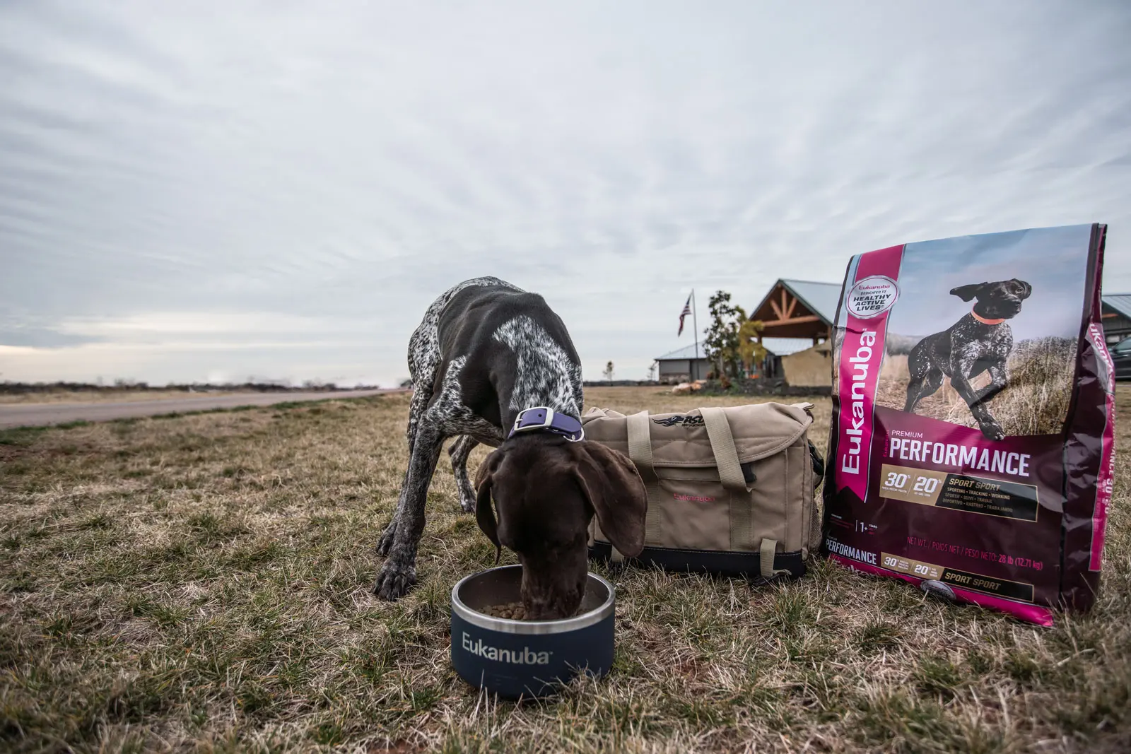 Eukanuba Sporting Dog