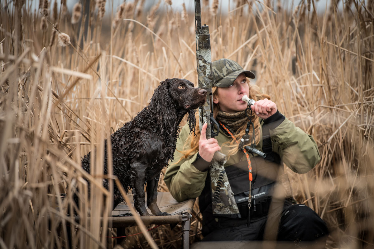 Eukanuba Sporting Dog