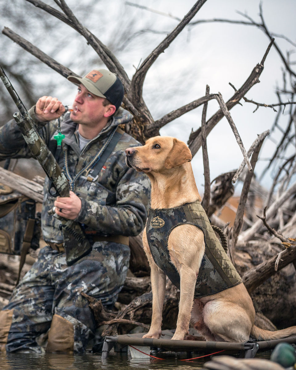 Eukanuba Sporting Dog