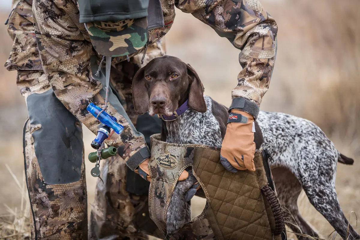 Eukanuba Sporting Dog