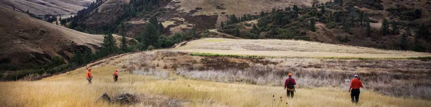 Flying B Ranch