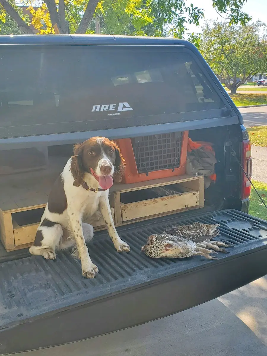 Brian Hanson and Max; Minnesota