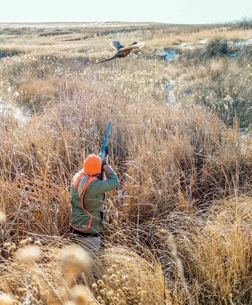 The Mythical ‘Even’ Pattern | Shooting Sportsman Magazine
