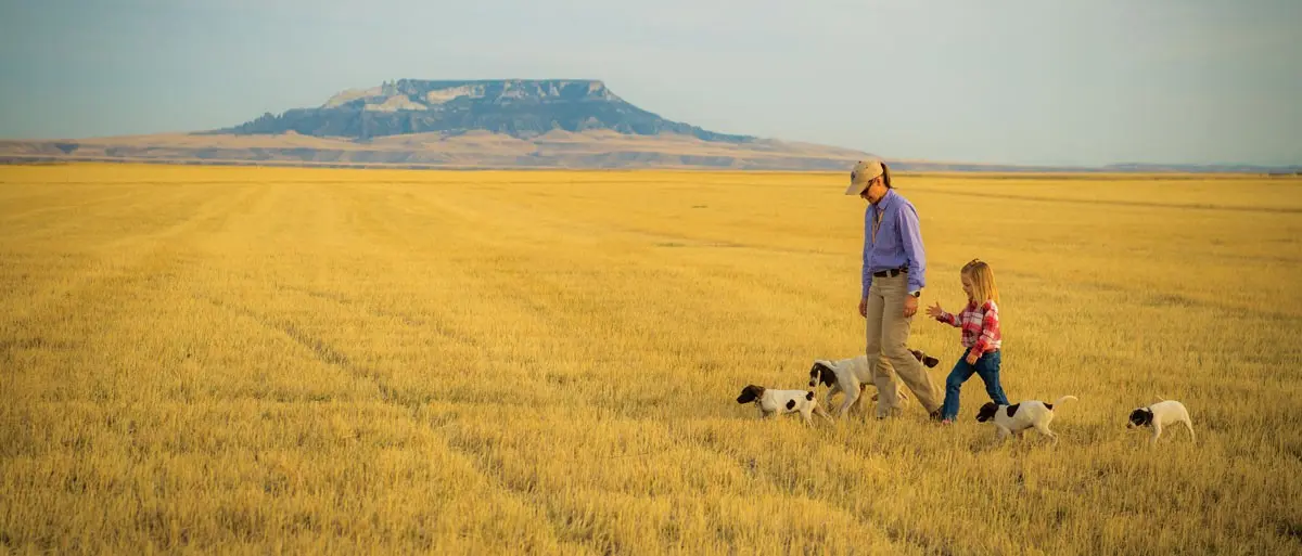 Puppy Socialization | Shooting Sportsman Magazine