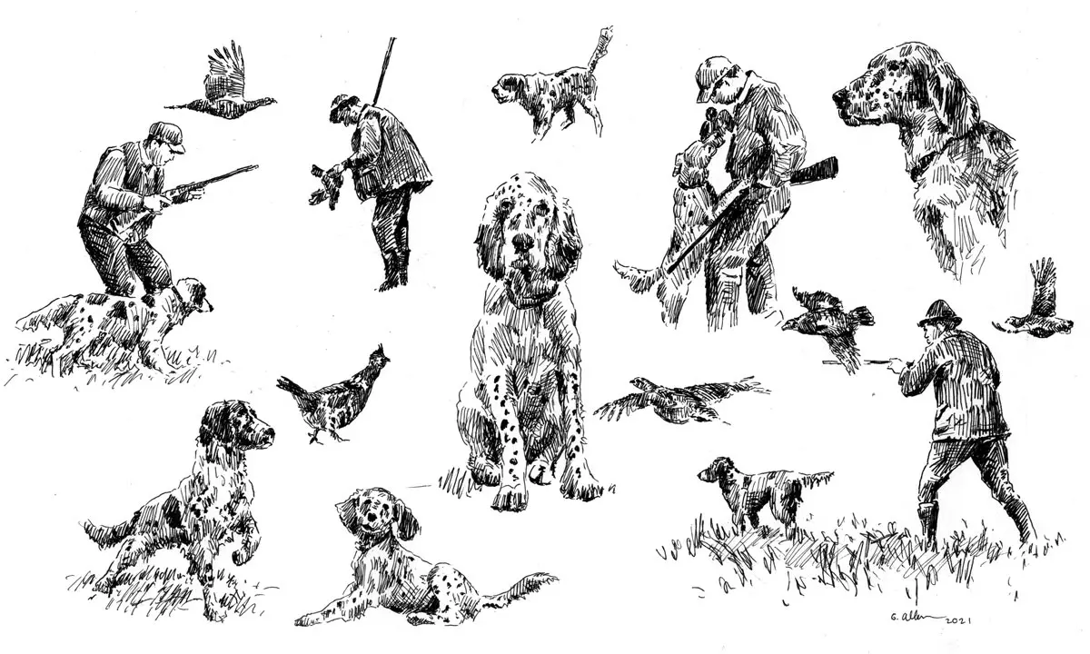 Canine Acuity | Shooting Sportsman Magazine