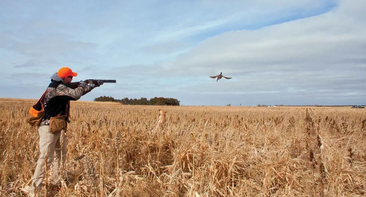 Feedback | Shooting Sportsman Magazine