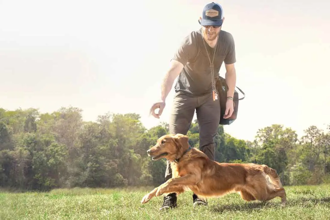 Optimal training times are when the temperature plus the humidity is less than 140.