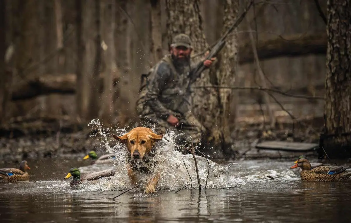 Earning a Paycheck | Shooting Sportsman Magazine