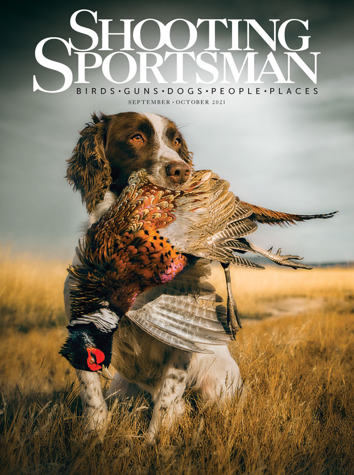 Selecting Shotgun Gauge for Upland Bird Hunting - Gun Dog