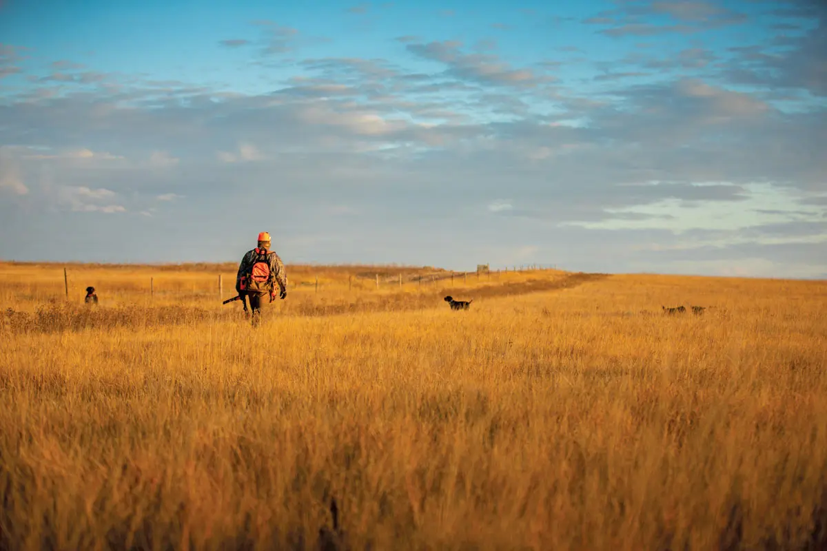 Upland Mixer | Shooting Sportsman Magazine