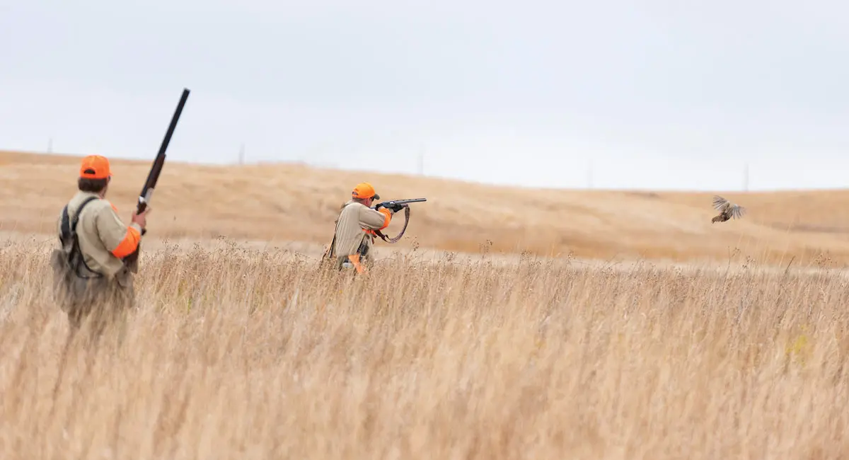 The Best Gun & Gauge for the Game | Shooting Sportsman Magazine