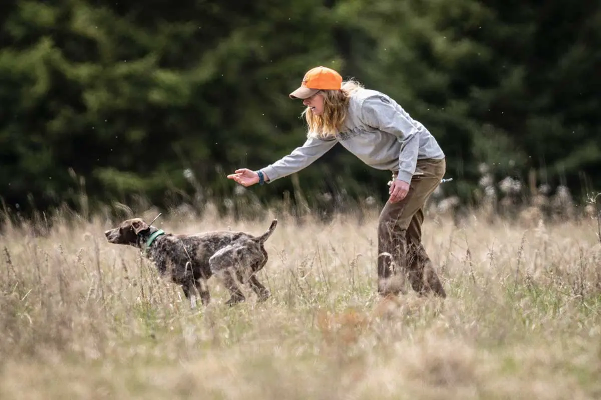 Vary your training routine to help your dog stay focused and challenged.