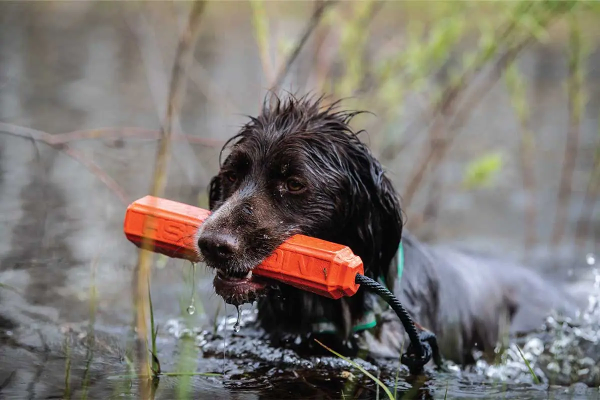 Water work is great for conditioning on hot, humid days.